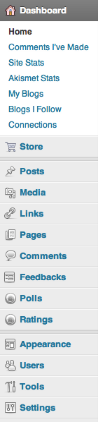 Screen shot of the Dashboard panel in wordpress.com
